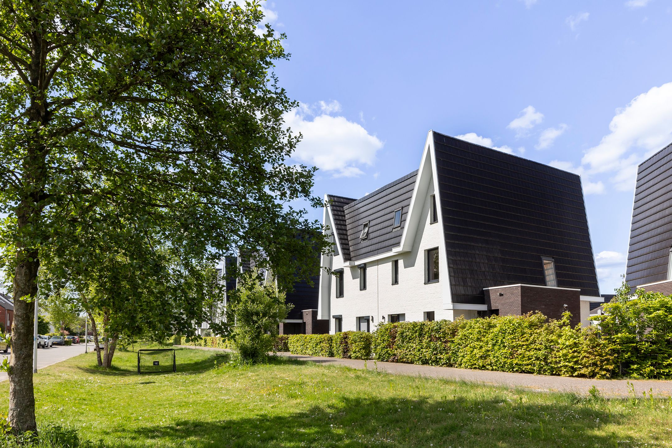 Photo 42 of Boomblauwtje 46