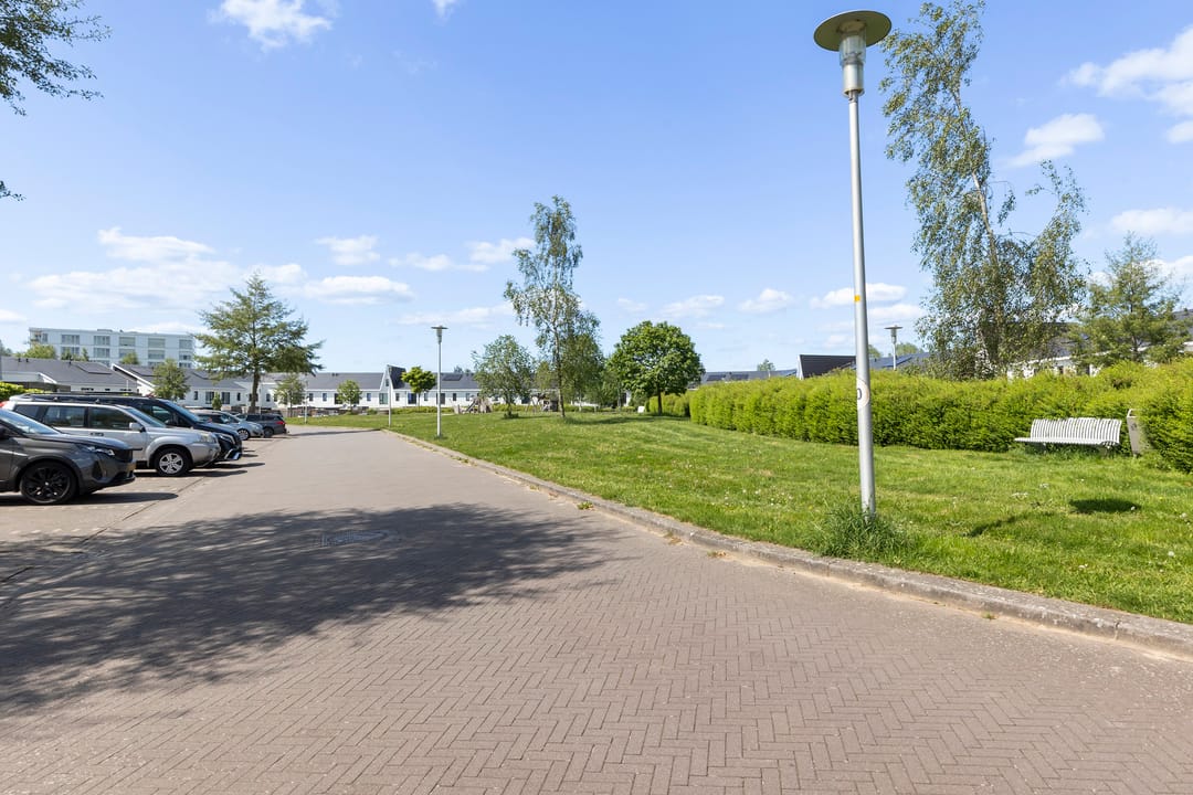 Photo 43 of Boomblauwtje 46