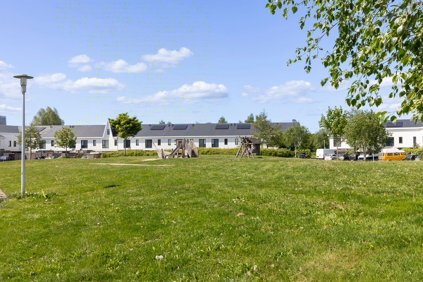 Photo 44 of Boomblauwtje 46