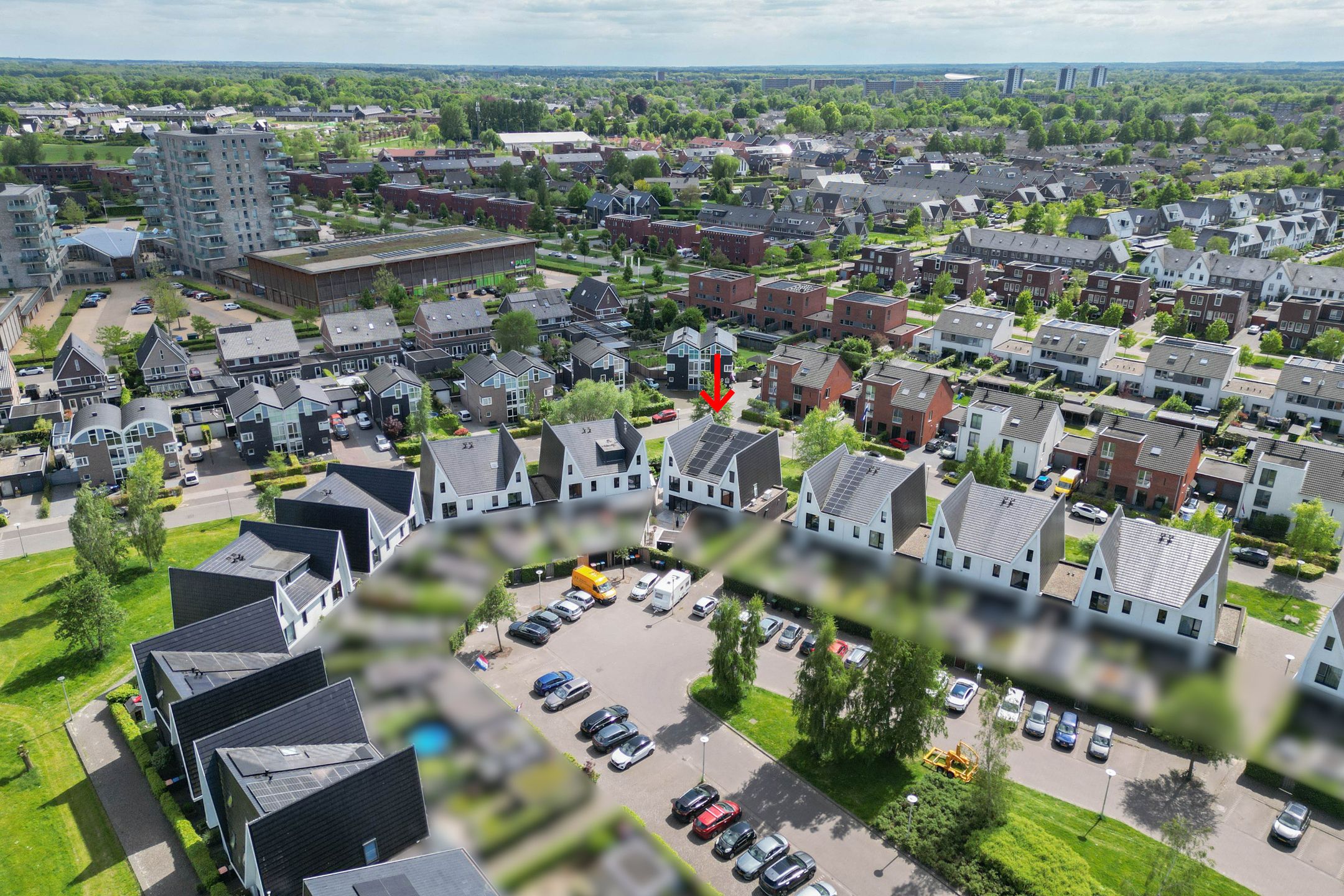 Photo 45 of Boomblauwtje 46