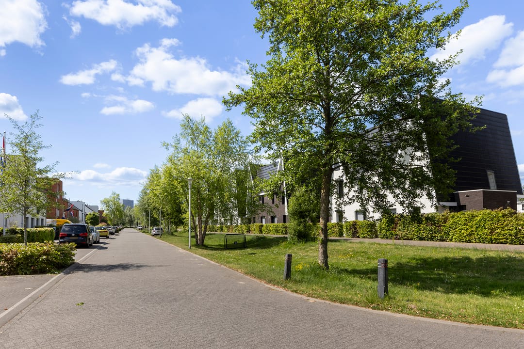 Photo 46 of Boomblauwtje 46