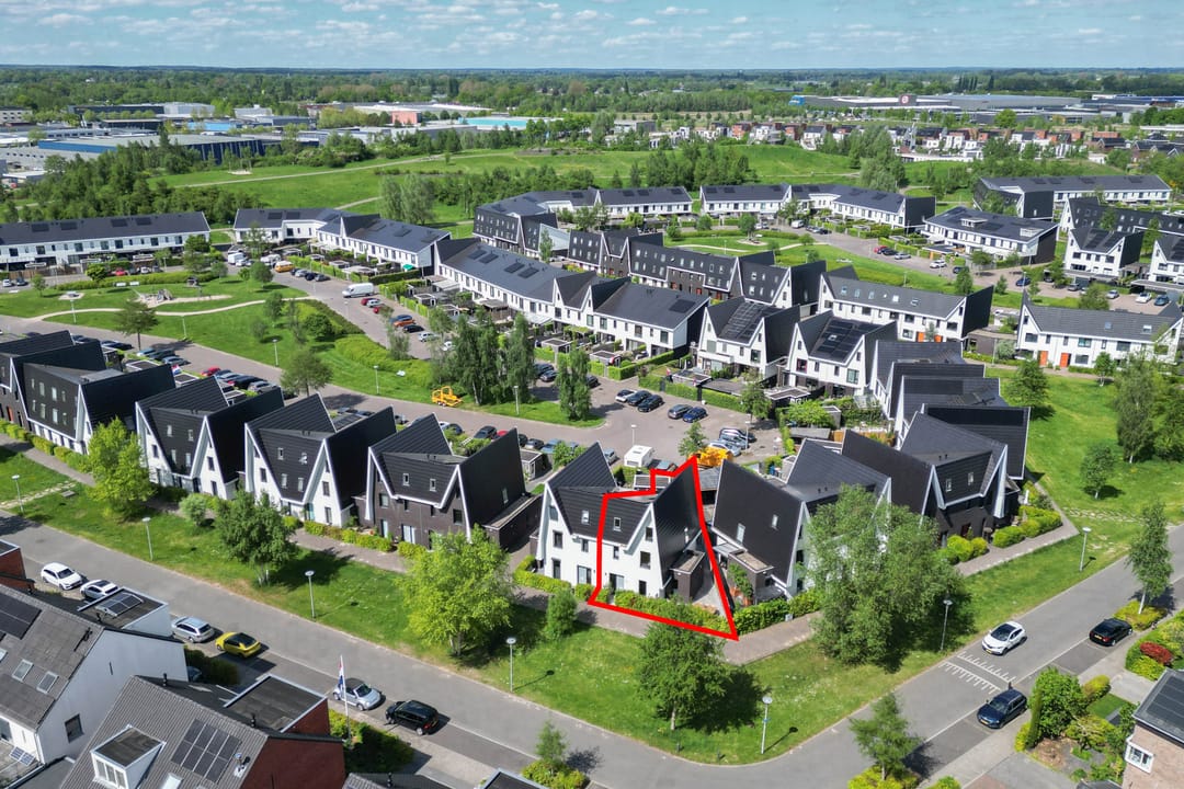 Photo 47 of Boomblauwtje 46