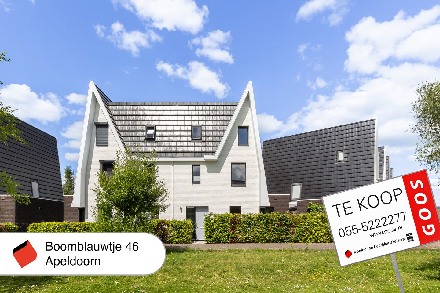 Photo 55 of Boomblauwtje 46