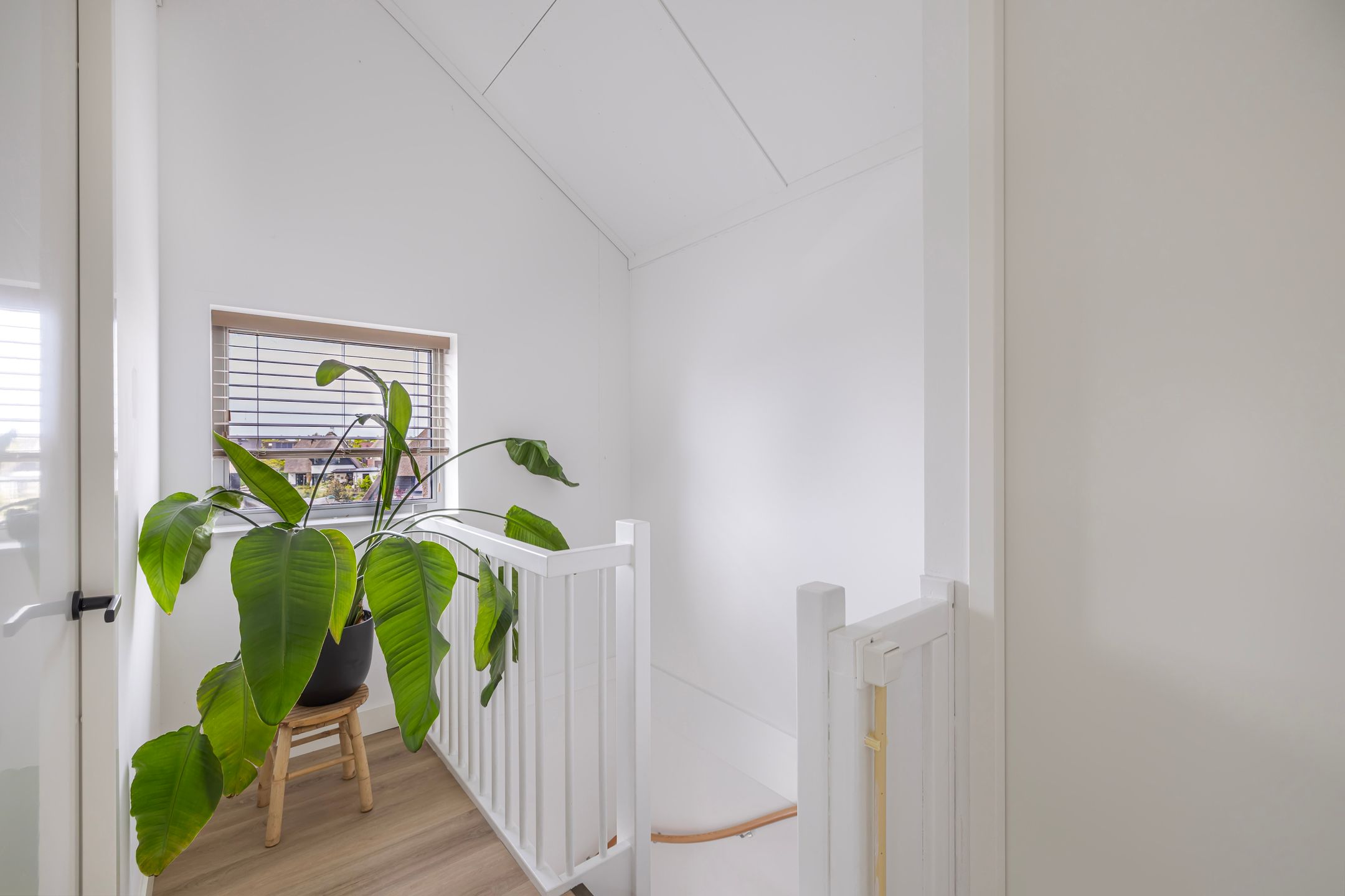 Foto 51 van Jufferlaan 8