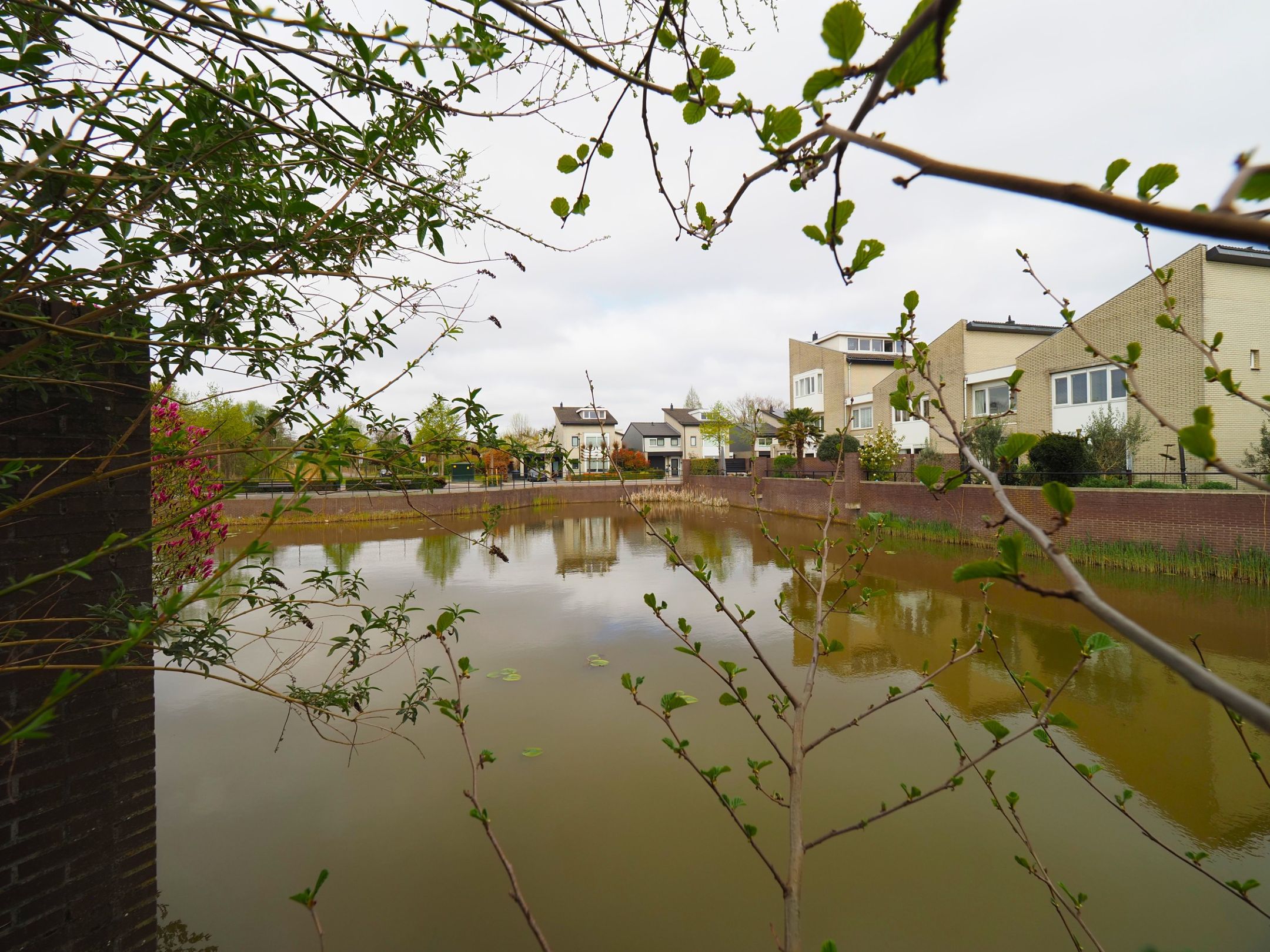 Foto 21 van Wilgewinde 7