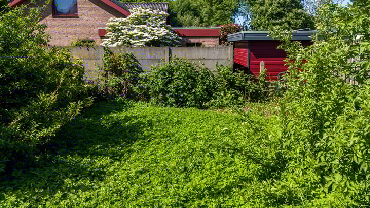 Foto 24 van Groot-Nullandstraat 34-A