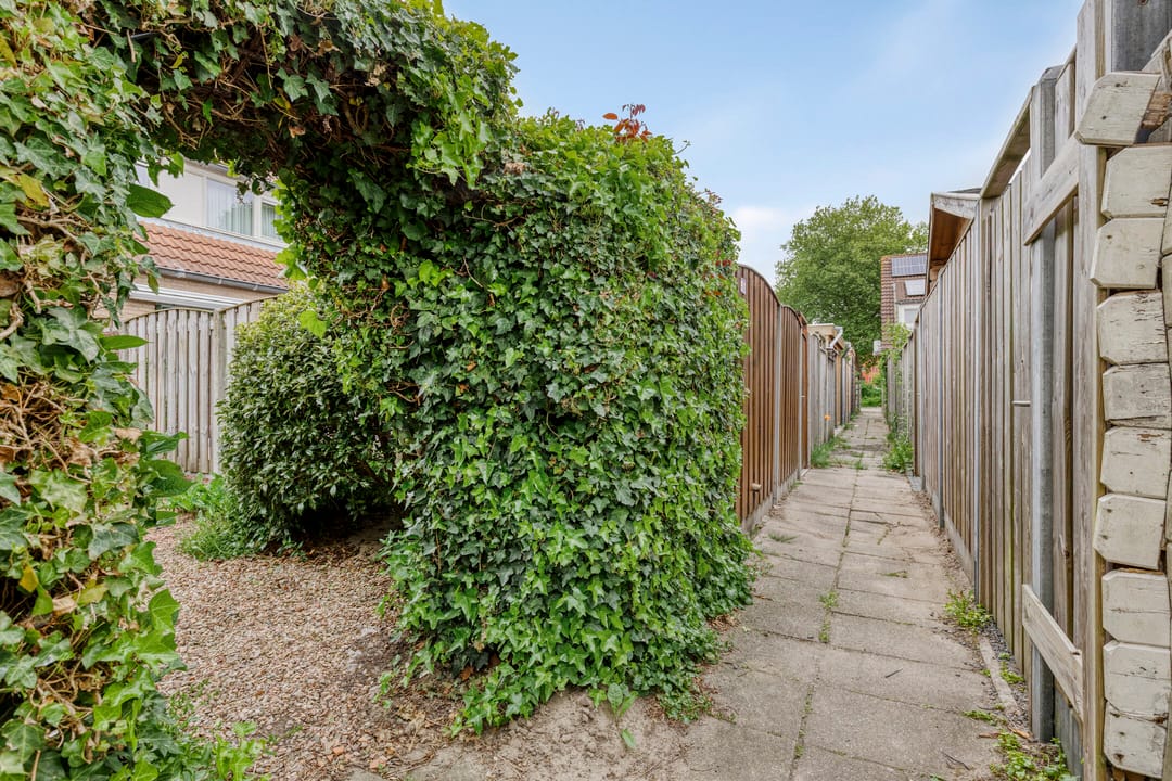 Foto 28 van Van Houtenstraat 15