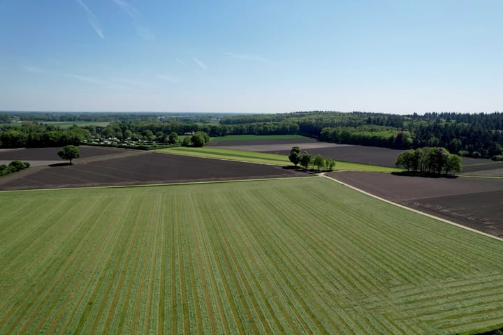 Foto 5 van Dr. ten Bokkel Huininkweg 28