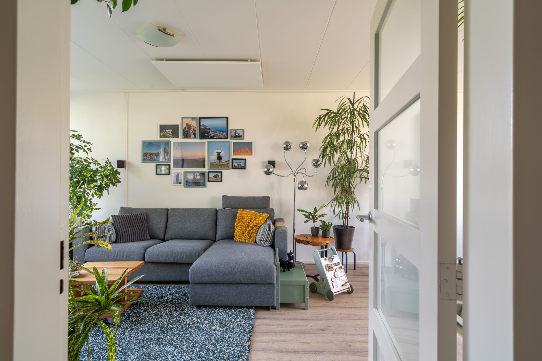 Foto 15 van Goudenregenplantsoen 29