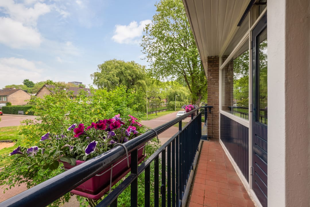 Foto 38 van Goudenregenplantsoen 29