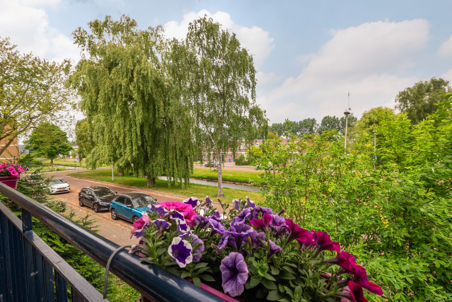 Foto 40 van Goudenregenplantsoen 29