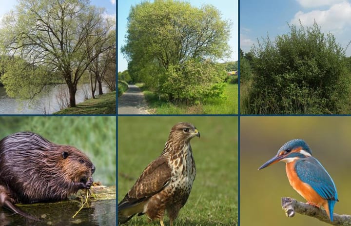 Foto 35 van E.F. van den Banweg 73