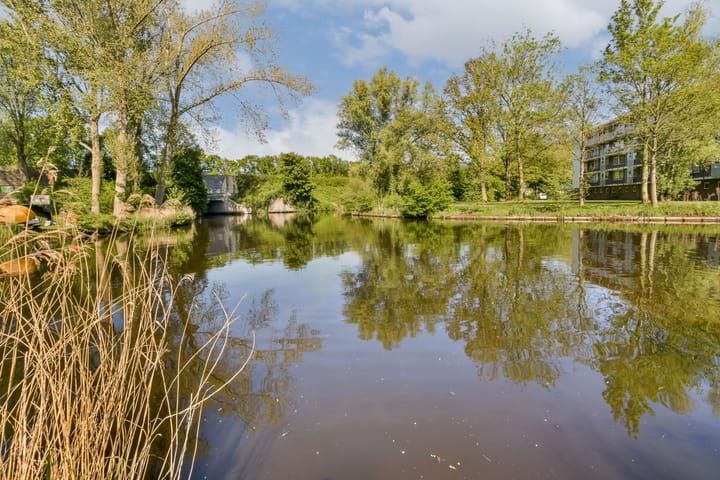 Photo 3 of Pinksterbloemweg 12