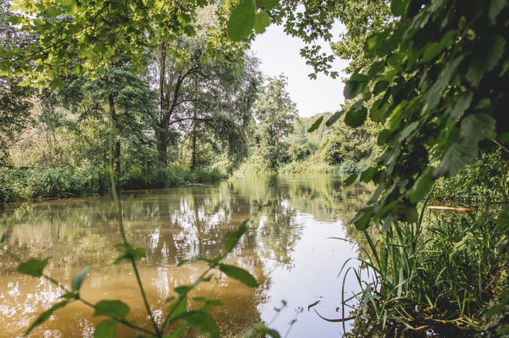 Photo 6 of Roerzicht 9