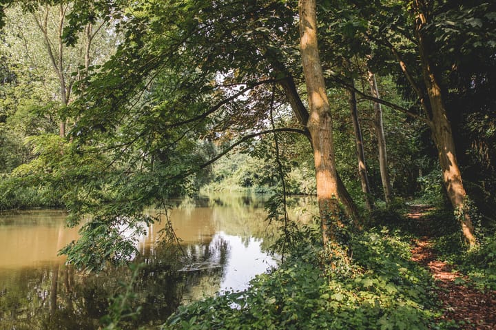 Photo 7 of Roerzicht 9