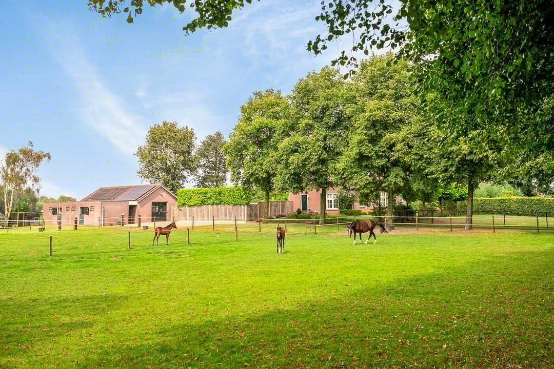 Foto 38 van Heitrak 40