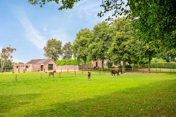 Foto 38 van Heitrak 40