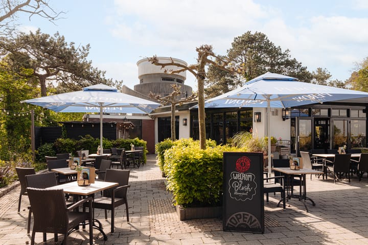 Photo 51 of Hoge Duin en Daalseweg 21-B