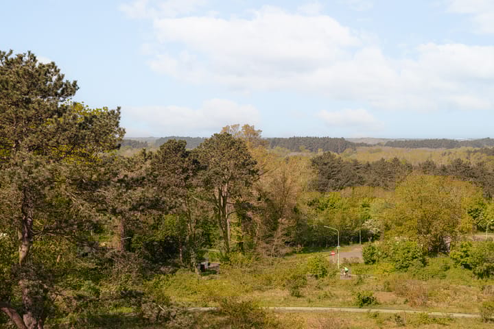 Photo 53 of Hoge Duin en Daalseweg 21-B