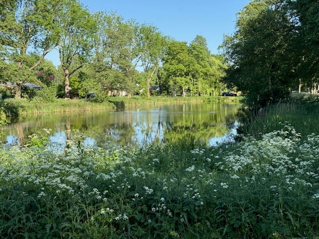 Foto 49 van Nic Beetsweg 54