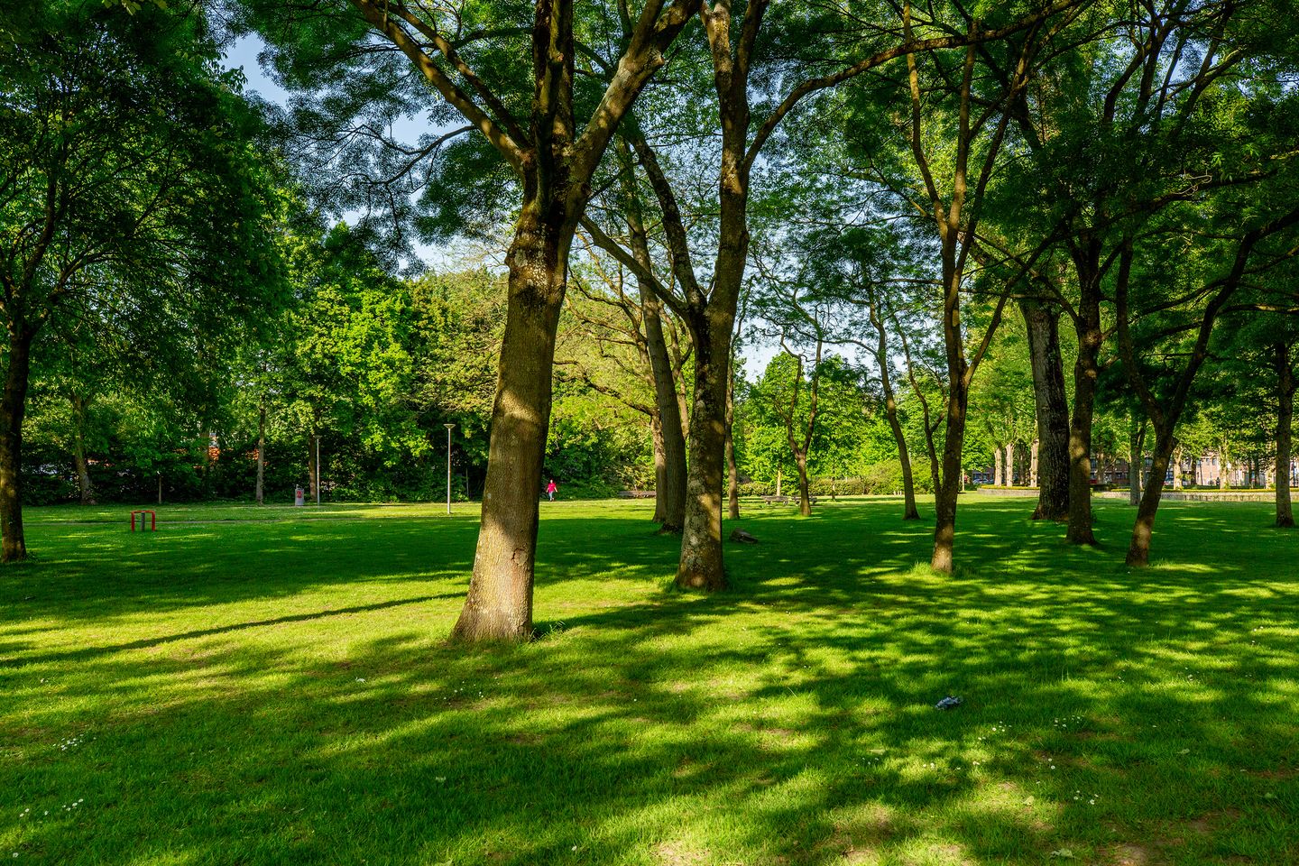 Photo 34 of Crooswijksestraat 142