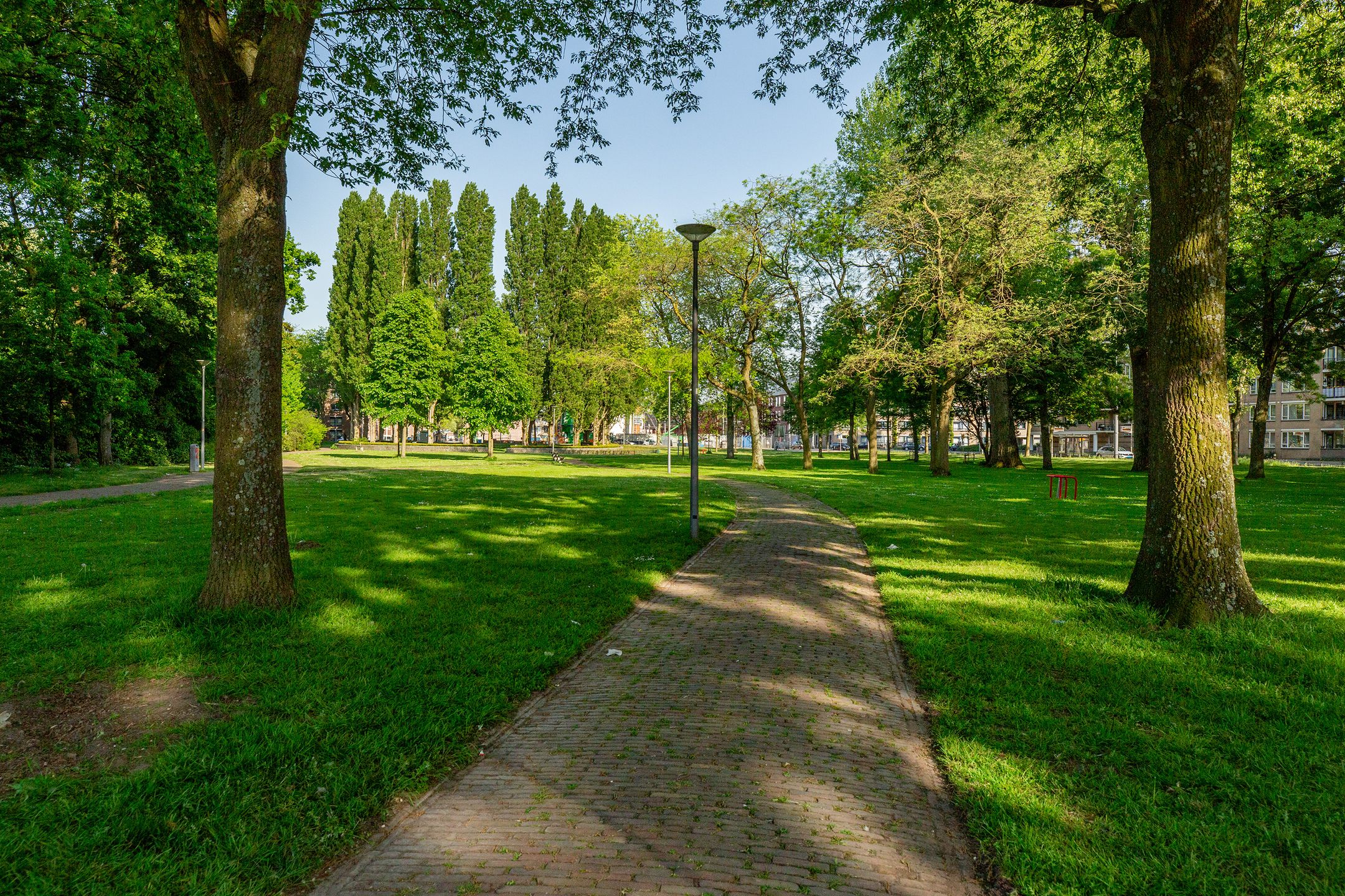 Photo 36 of Crooswijksestraat 142