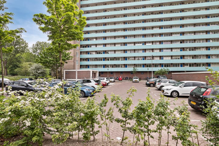 Foto 3 van Langswater 902