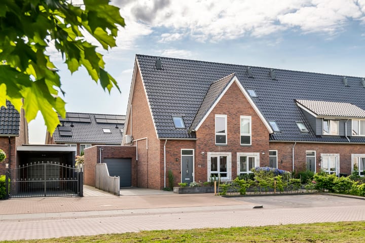 Foto 1 van Tureluur 33