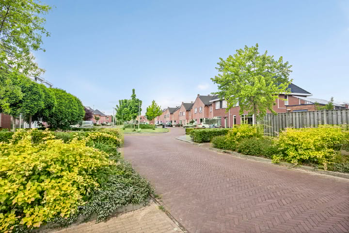 Foto 40 van Sleedoornpage 23