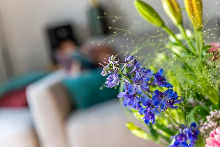 Foto 11 van Tureluur 33