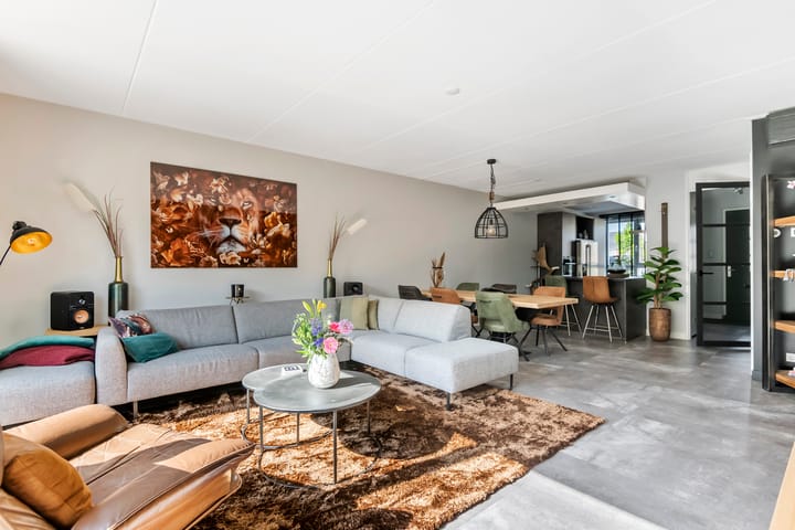 Foto 12 van Tureluur 33