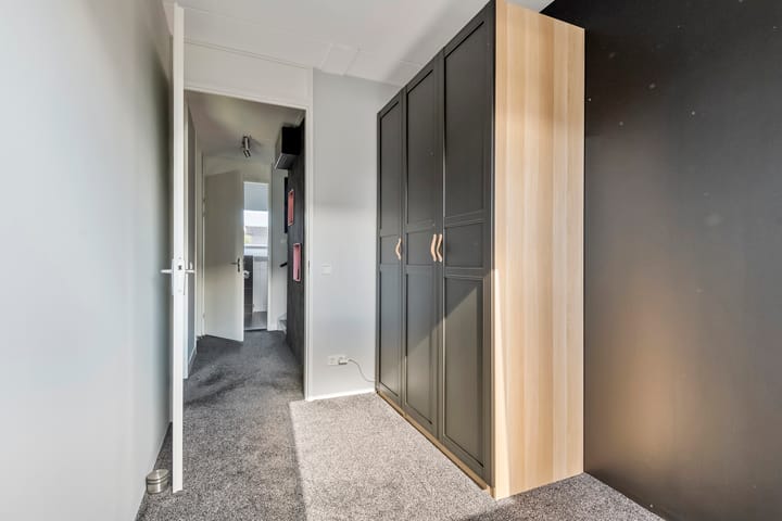 Foto 33 van Tureluur 33