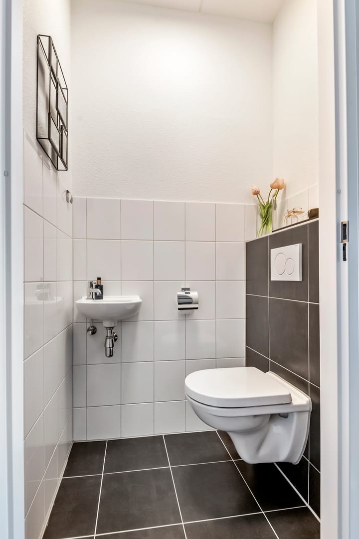 Foto 35 van Tureluur 33