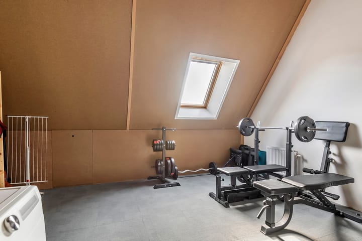 Foto 50 van Tureluur 33