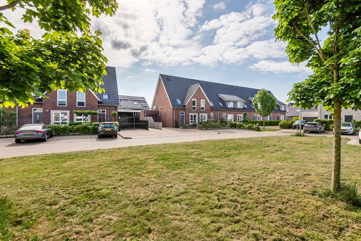 Foto 52 van Tureluur 33