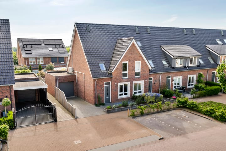 Foto 53 van Tureluur 33