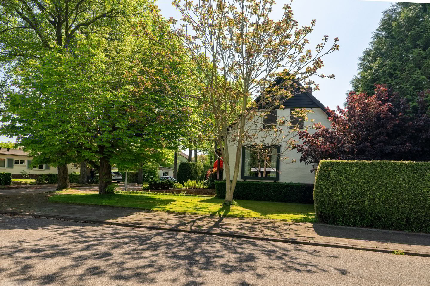 Photo 35 of Den Horst 2