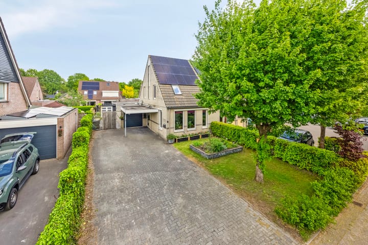 Foto 29 van Hazenpad 8