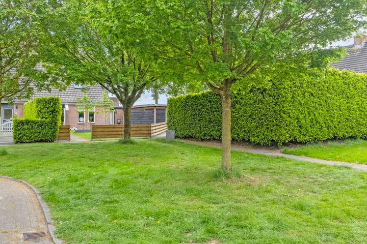 Foto 31 van Hazenpad 8