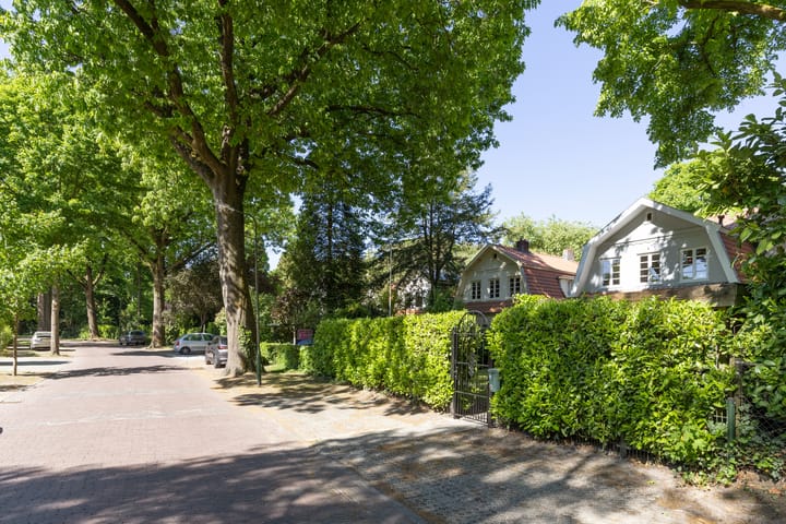 Foto 71 van Haydnlaan 21