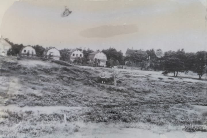 Foto 72 van Haydnlaan 21