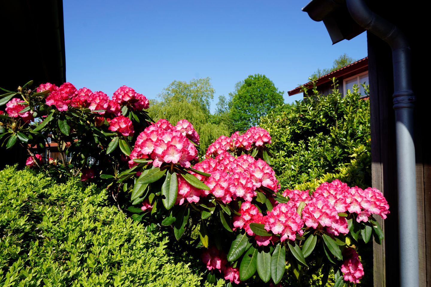 Photo 10 of Rijksstraatweg 80-112