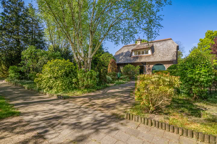 Foto 32 van Trambaan 19