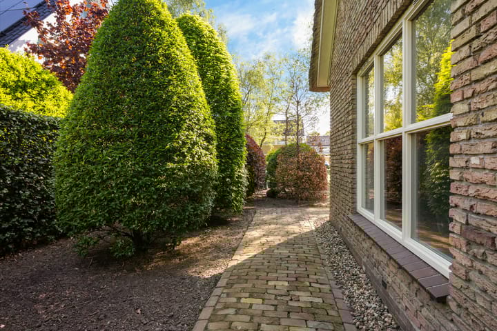 Foto 51 van Trambaan 19