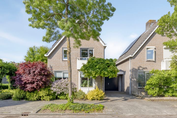 Foto 6 van Elendil 53