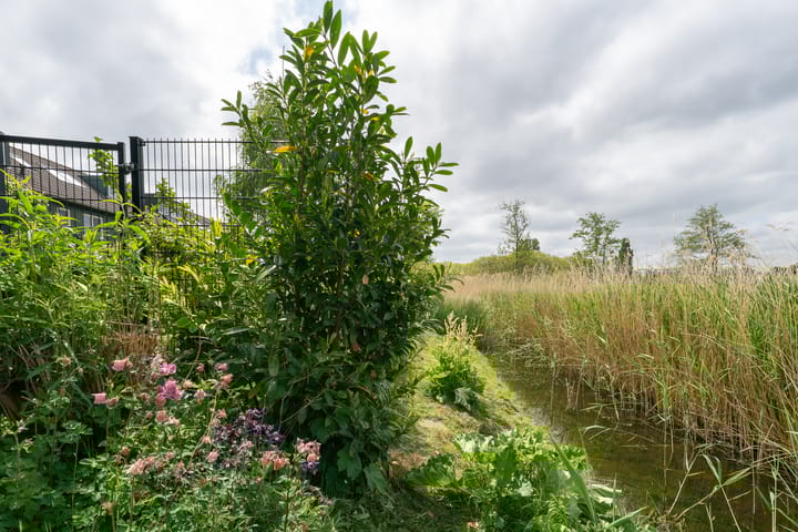 Foto 36 van Sikkelstraat 22