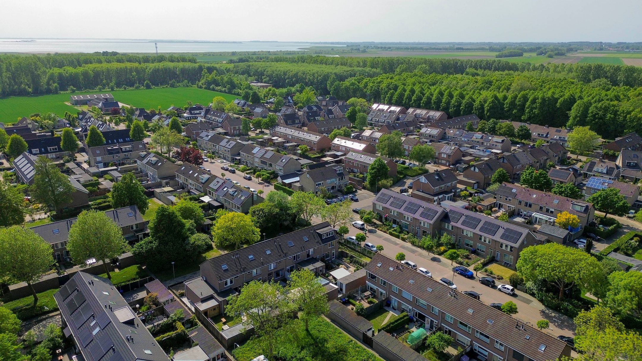 Foto 42 van Zonnebloempad 10