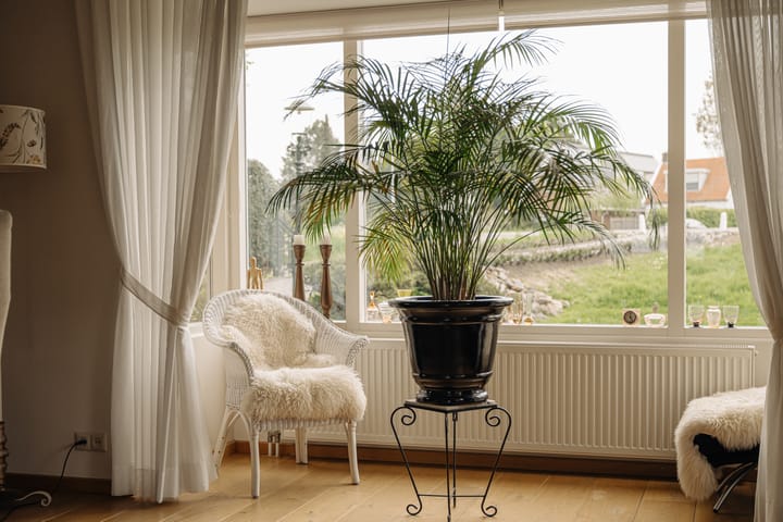 Foto 9 van Osdorperweg 491