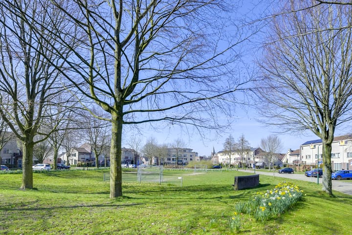 Foto 2 van Molenaarserf 48