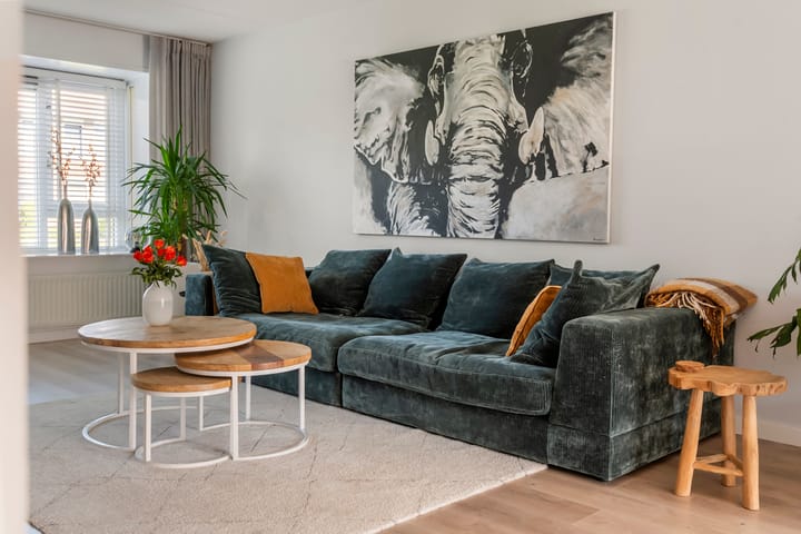 Foto 10 van Vlagzalm 11